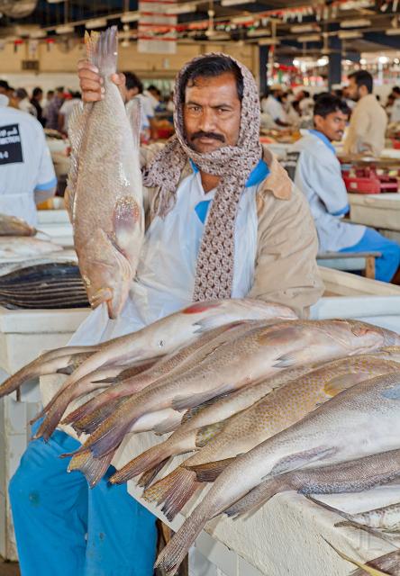 IMG_5291.jpg - Fish Souk