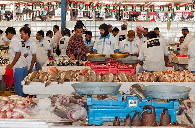 IMG_5309.jpg - Fish Souk