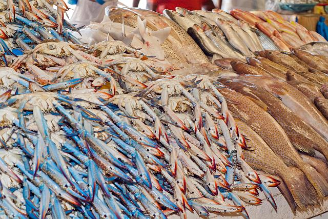 IMG_5313.jpg - Fish Souk