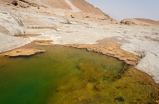 IMG_4489.jpg - Hatta pools