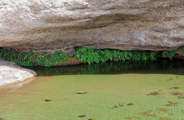 IMG_4502.jpg - Hatta pools