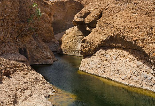 IMG_4533.jpg - Hatta pools