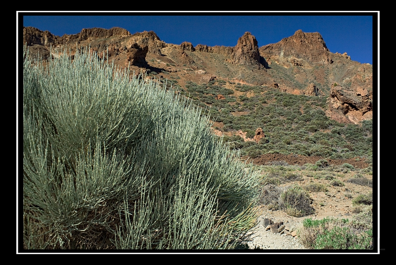 IMG_8431.jpg - Las Canadas de Teide