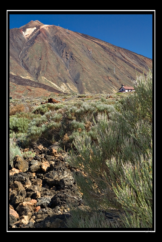 IMG_8437.jpg - Las Canadas de Teide