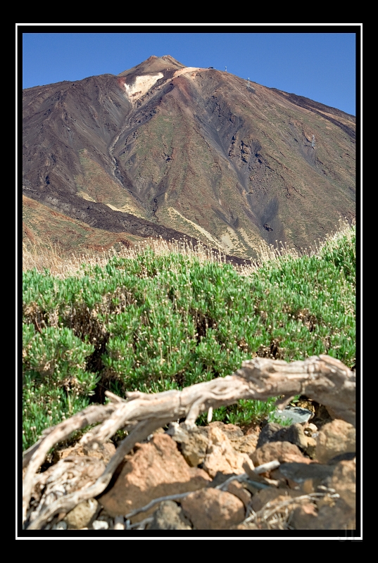 IMG_8446.jpg - Las Canadas de Teide