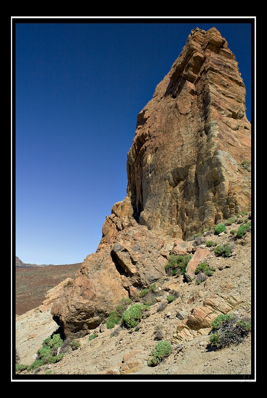 IMG_8455.jpg - Las Canadas de Teide