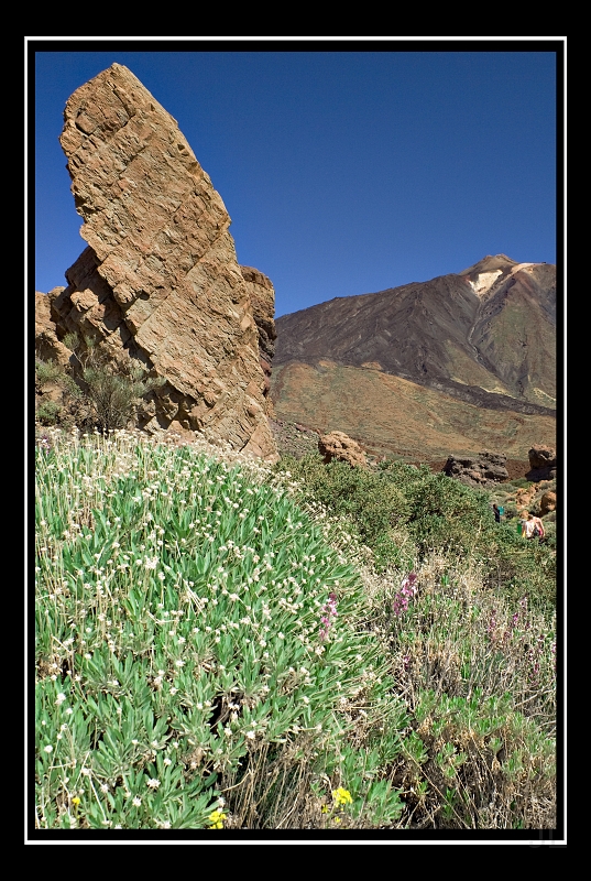 IMG_8465.jpg - Las Canadas de Teide