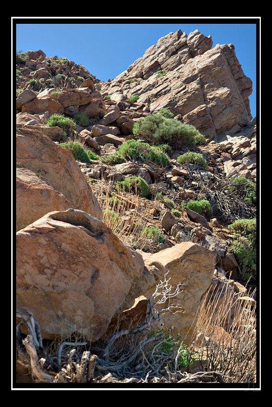 IMG_8474.jpg - Las Canadas de Teide