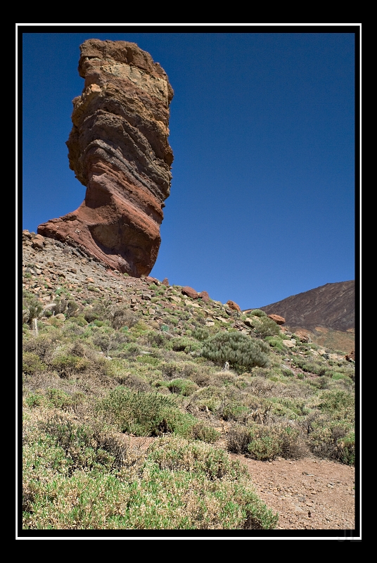 IMG_8483.jpg - Las Canadas de Teide