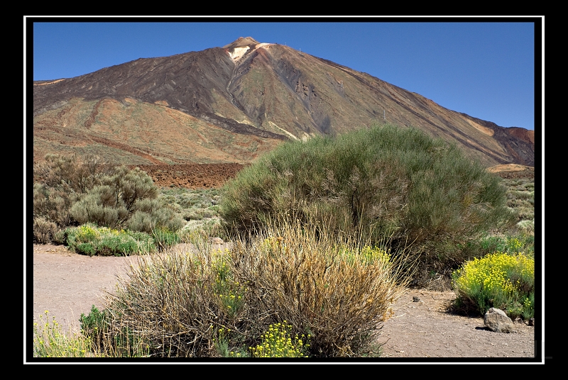 IMG_8488.jpg - Las Canadas de Teide