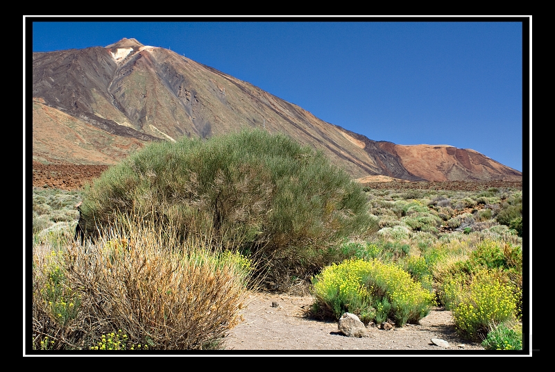 IMG_8489.jpg - Las Canadas de Teide