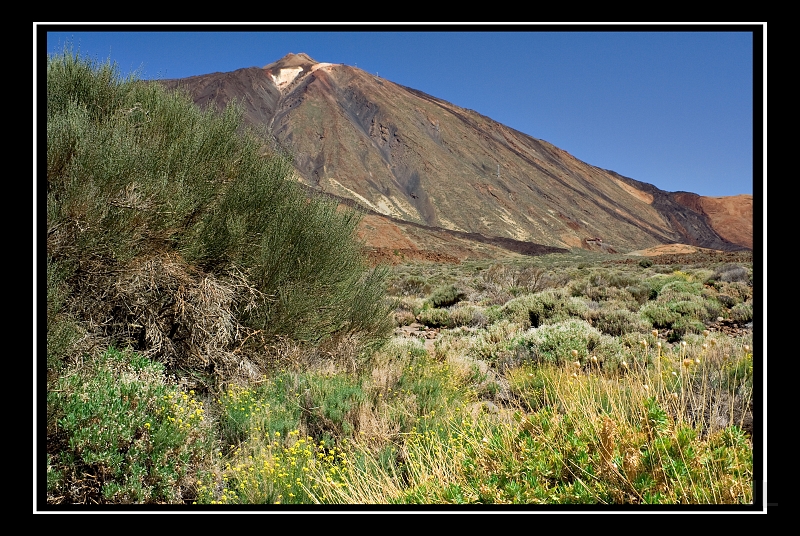 IMG_8491.jpg - Las Canadas de Teide