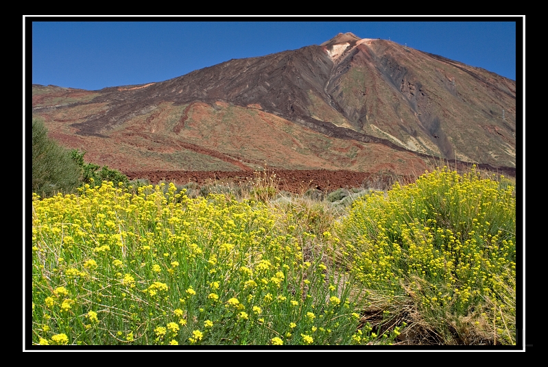 IMG_8492.jpg - Las Canadas de Teide