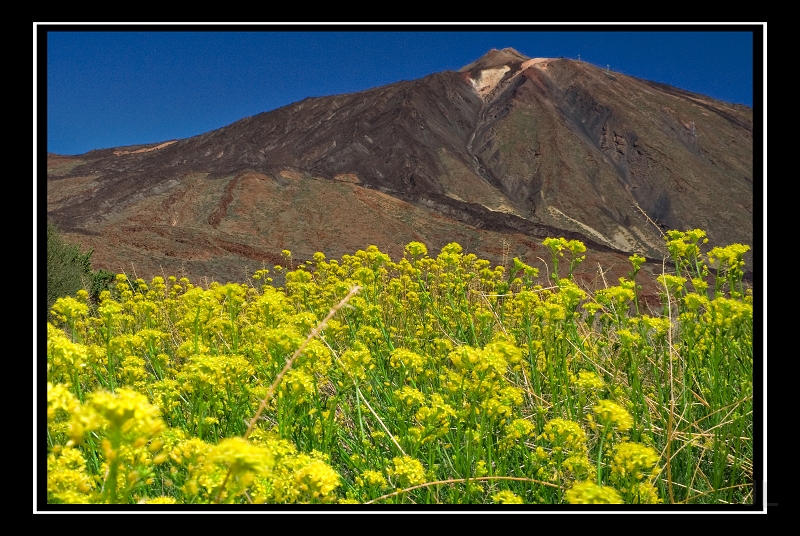 IMG_8502.jpg - Las Canadas de Teide