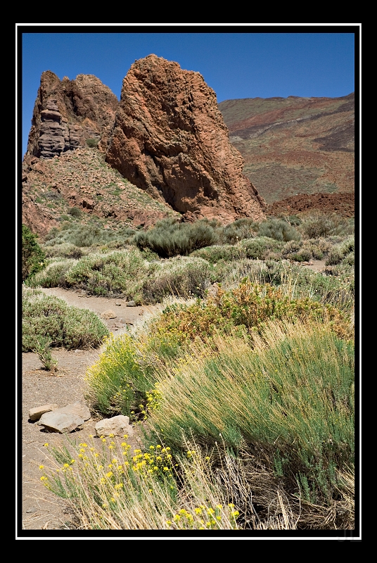 IMG_8503.jpg - Las Canadas de Teide