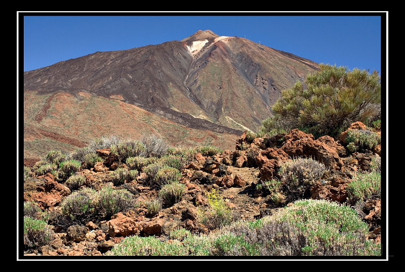 IMG_8505.jpg - Las Canadas de Teide