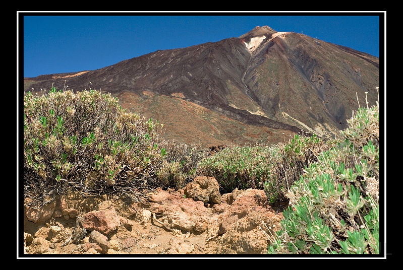 IMG_8530.jpg - Las Canadas de Teide