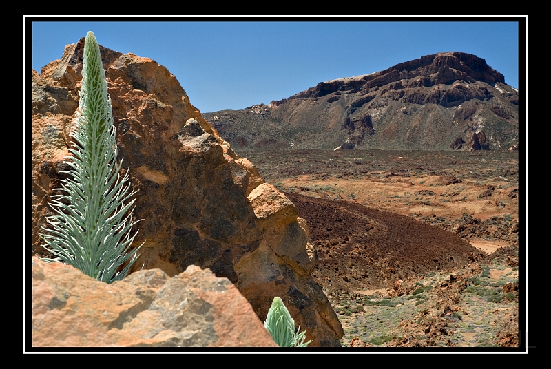 IMG_8532.jpg - Las Canadas de Teide