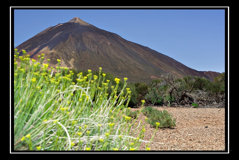 IMG_8572.jpg - Teide