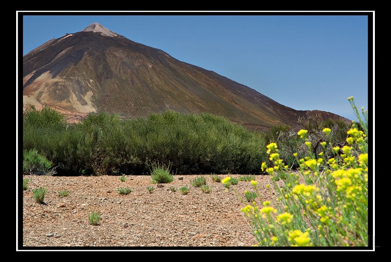 IMG_8576.jpg - Teide