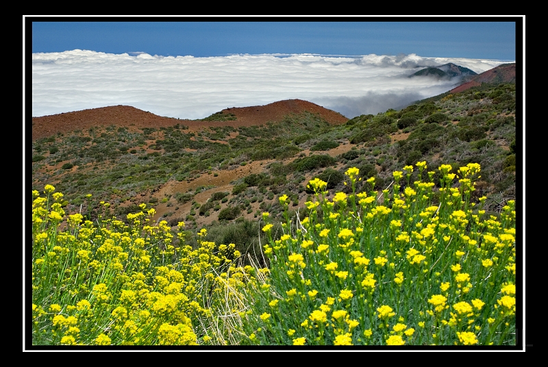 IMG_8581.jpg - Mirador Les Cumbres