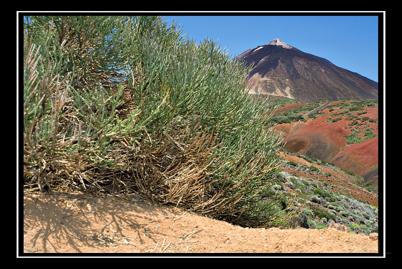 IMG_8585.jpg - Teide