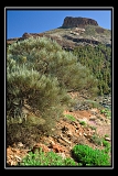 Narodni park Teide